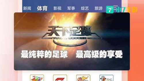 cctv下载
